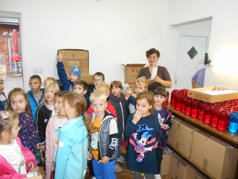 GLJIVICE UČE O SVJEĆARSTVU