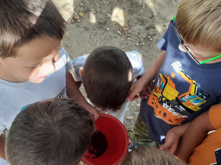 “Sunčeka” u aktivnostima