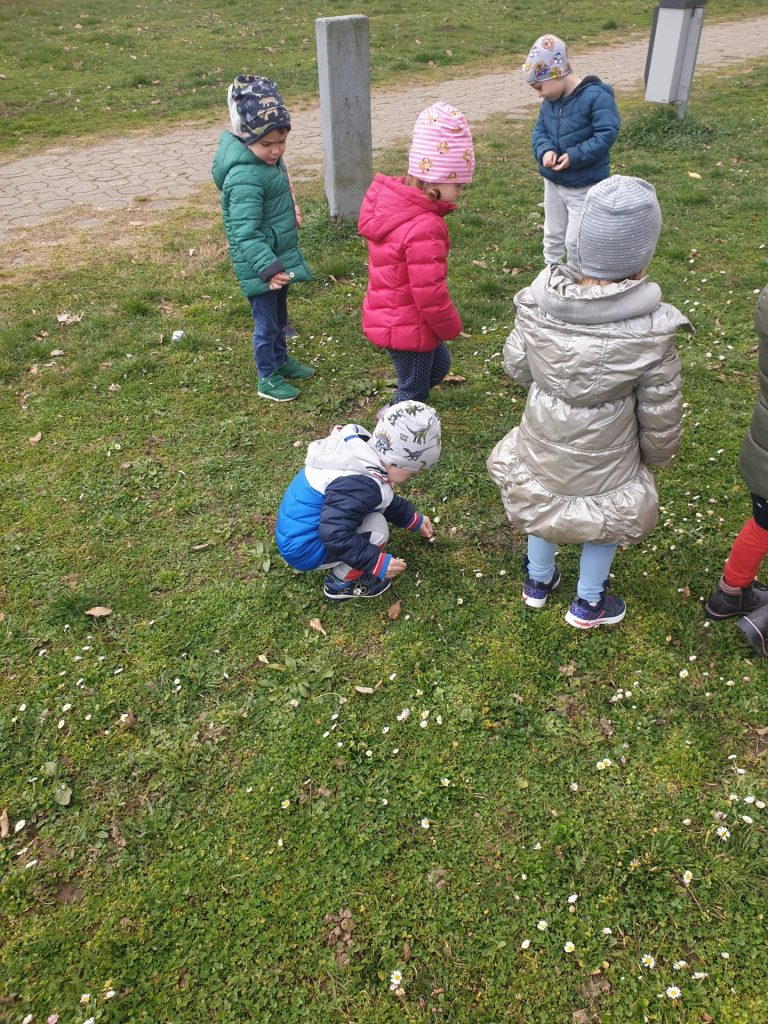 Zmajčeki i tratinčice