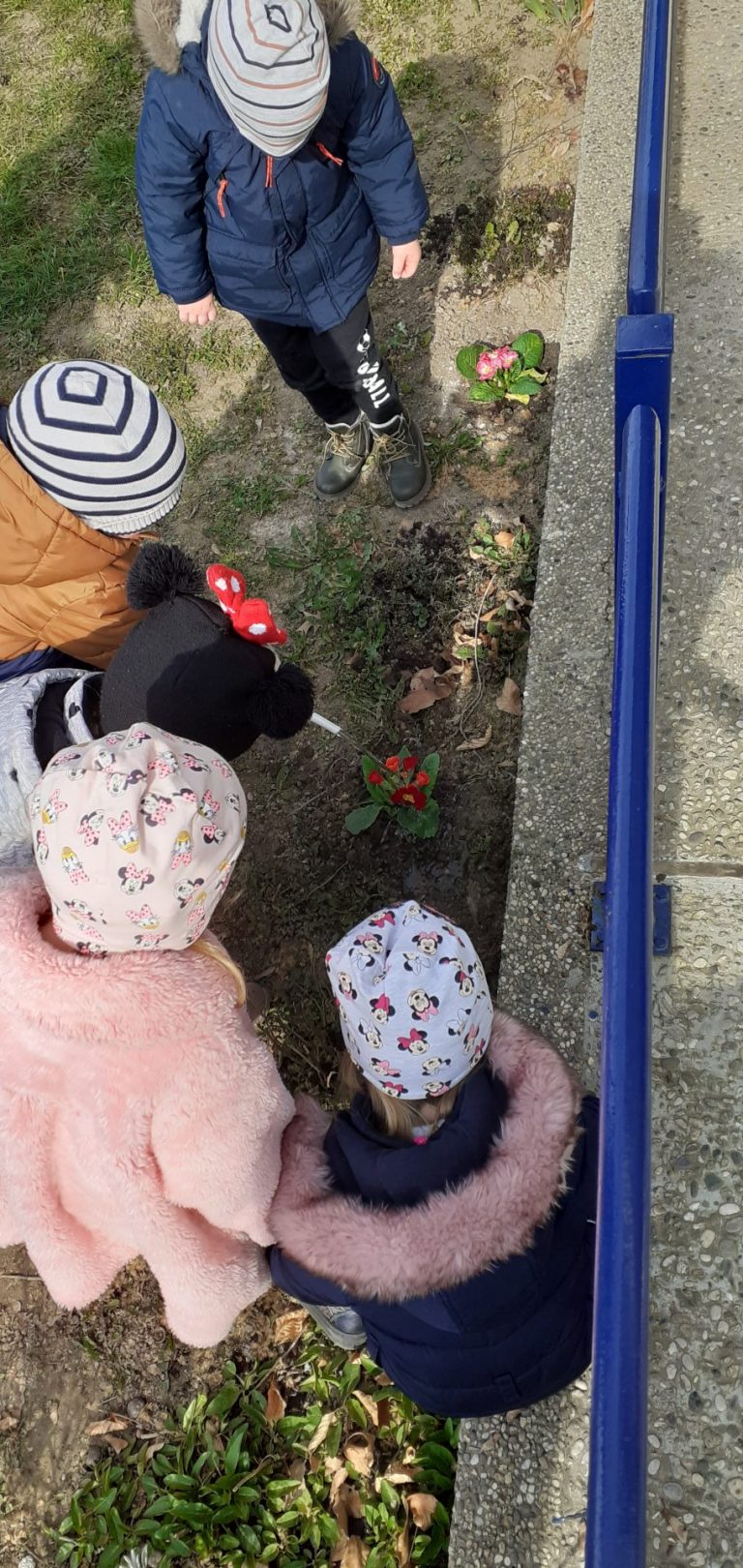 Medenjaci pomažu zemlji da ostane lijepa i čista