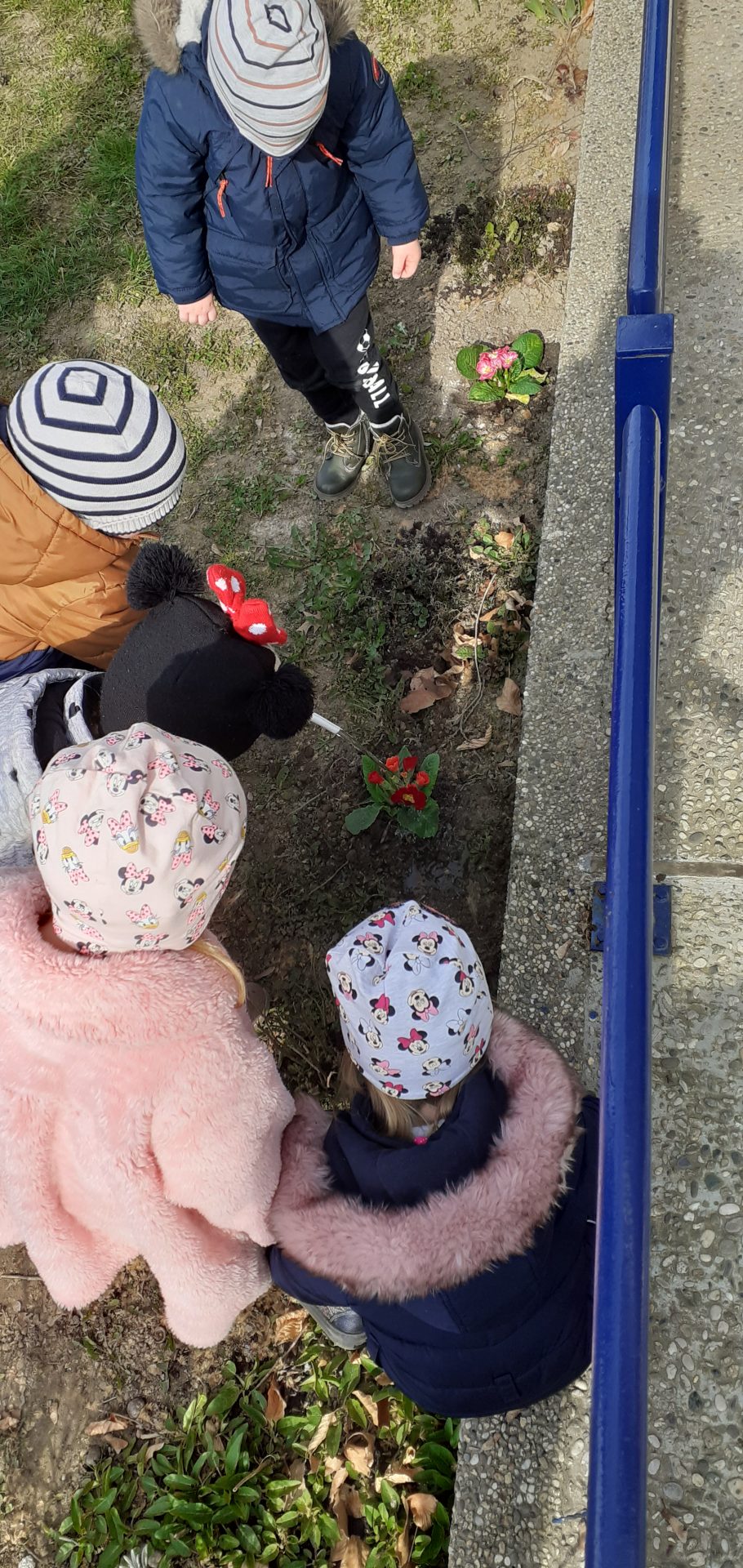 Medenjaci pomažu zemlji da ostane lijepa i čista