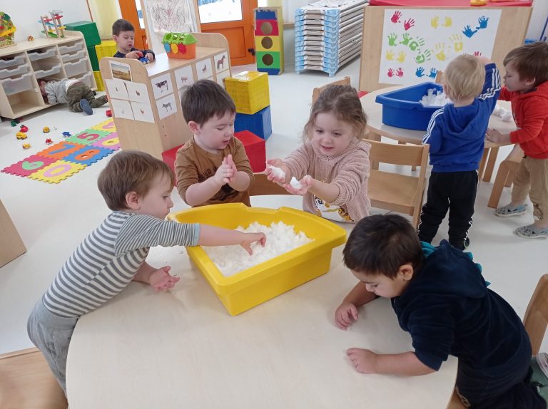 Aktivnosti u mjesecu siječnju