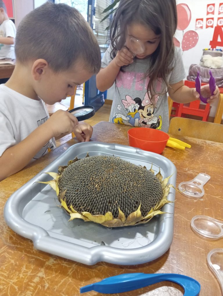 Jesenske aktivnosti u skupini “Mravići”