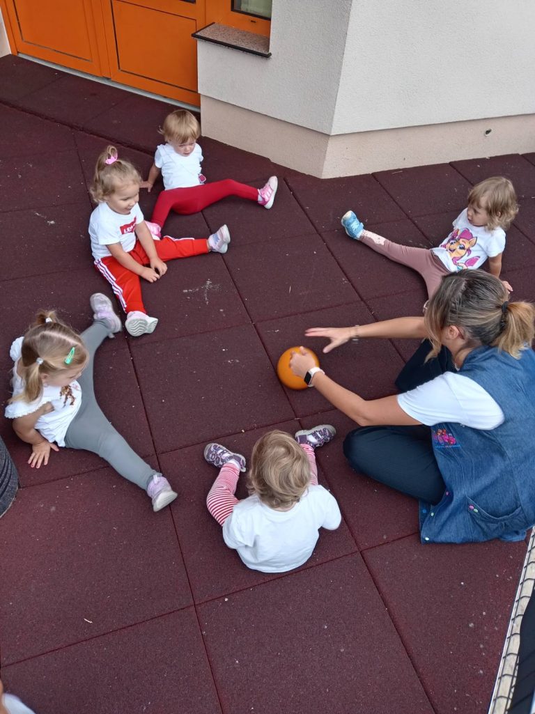 Rujanske aktivnosti u skupini “Bubamare”