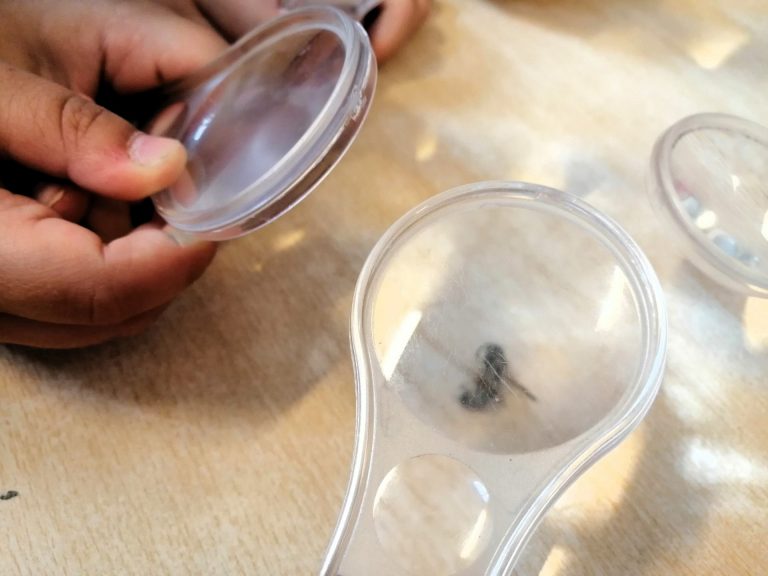 Novi projekt u VI. a skupini “Slatkiši”