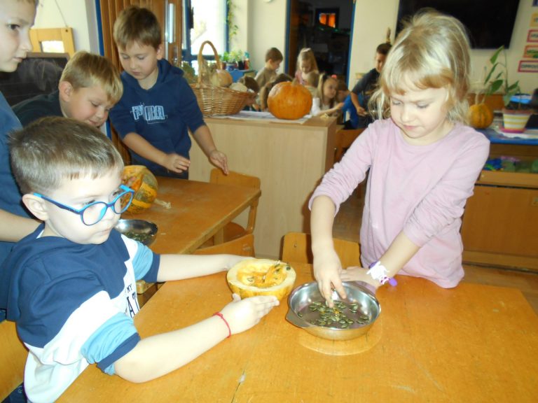 Jesenske aktivnosti VI. B skupine “Žireki”